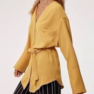 Aritzia Golden Button Down Blouse